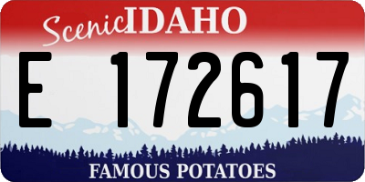 ID license plate E172617