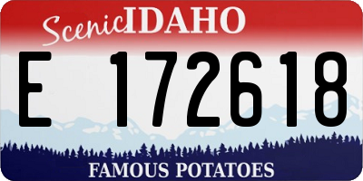 ID license plate E172618