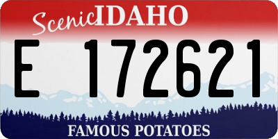 ID license plate E172621