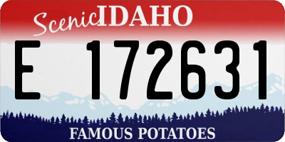 ID license plate E172631