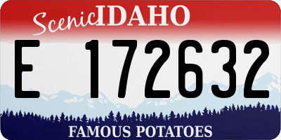 ID license plate E172632