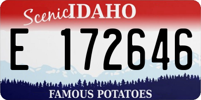 ID license plate E172646