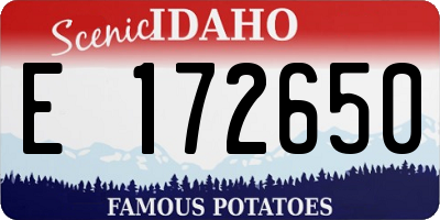 ID license plate E172650
