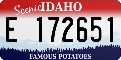 ID license plate E172651
