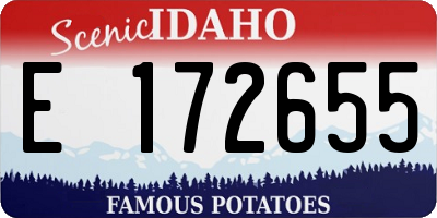 ID license plate E172655