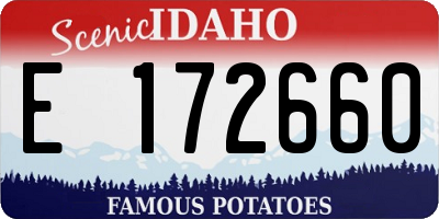 ID license plate E172660