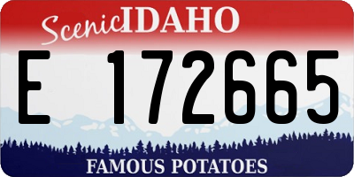ID license plate E172665