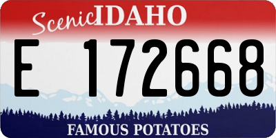 ID license plate E172668