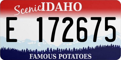ID license plate E172675