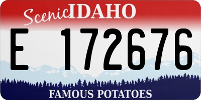 ID license plate E172676