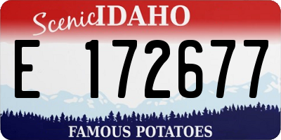 ID license plate E172677
