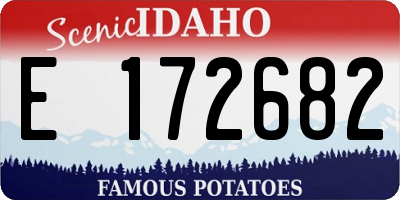 ID license plate E172682