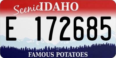 ID license plate E172685