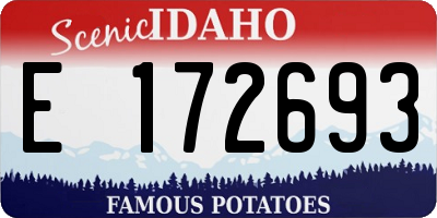 ID license plate E172693