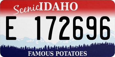 ID license plate E172696