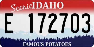 ID license plate E172703