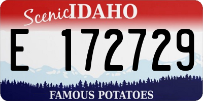 ID license plate E172729