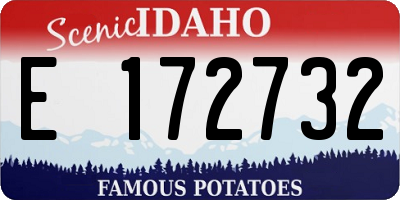 ID license plate E172732