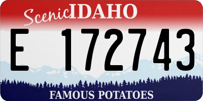 ID license plate E172743