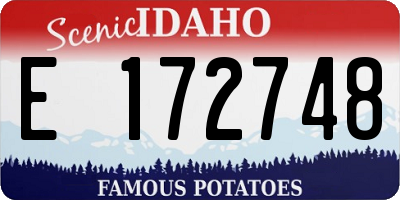 ID license plate E172748