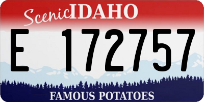 ID license plate E172757