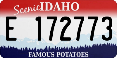 ID license plate E172773