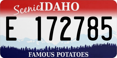 ID license plate E172785