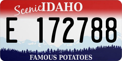 ID license plate E172788
