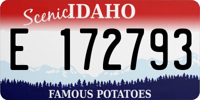 ID license plate E172793