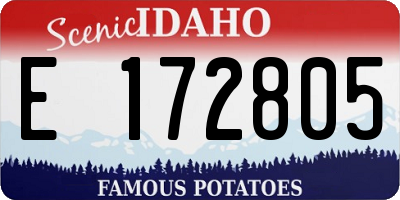 ID license plate E172805