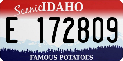 ID license plate E172809