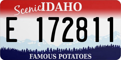 ID license plate E172811