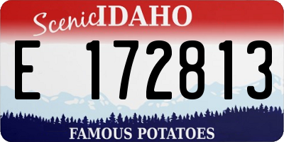 ID license plate E172813