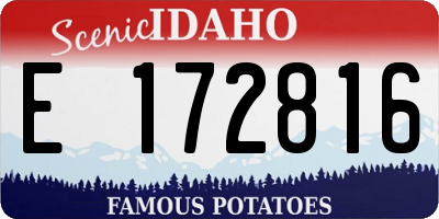 ID license plate E172816