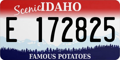 ID license plate E172825