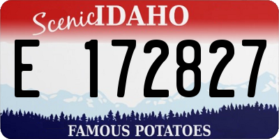 ID license plate E172827