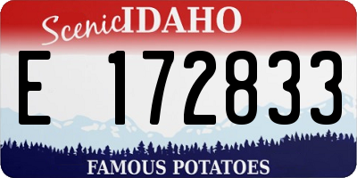 ID license plate E172833