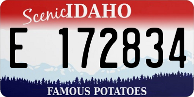 ID license plate E172834
