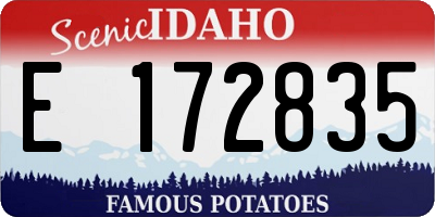 ID license plate E172835