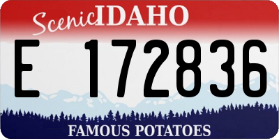 ID license plate E172836
