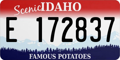 ID license plate E172837