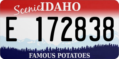 ID license plate E172838