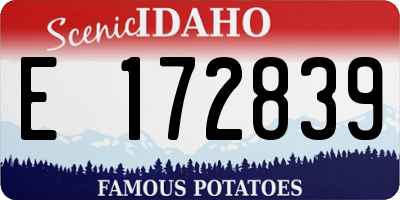 ID license plate E172839