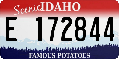 ID license plate E172844