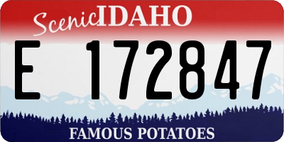ID license plate E172847
