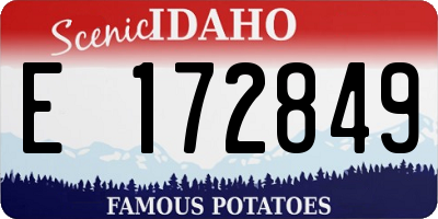 ID license plate E172849