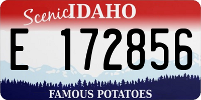 ID license plate E172856