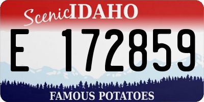 ID license plate E172859