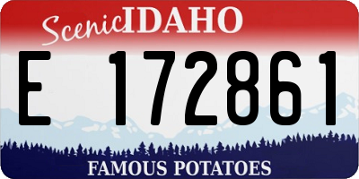 ID license plate E172861