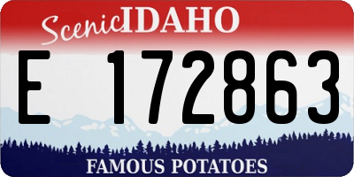 ID license plate E172863